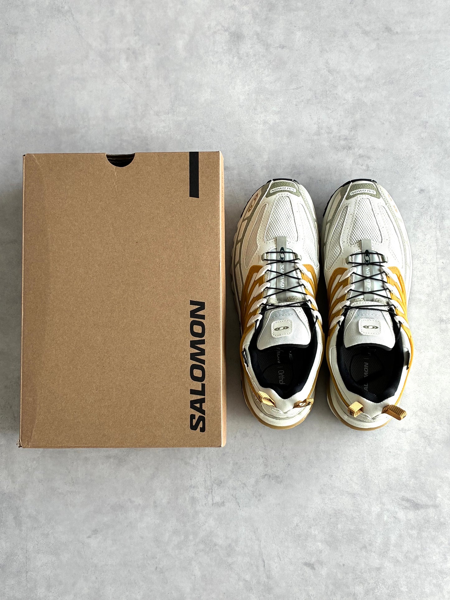 SALOMON / サロモン ACS PRO GTX 【New Old Stock】