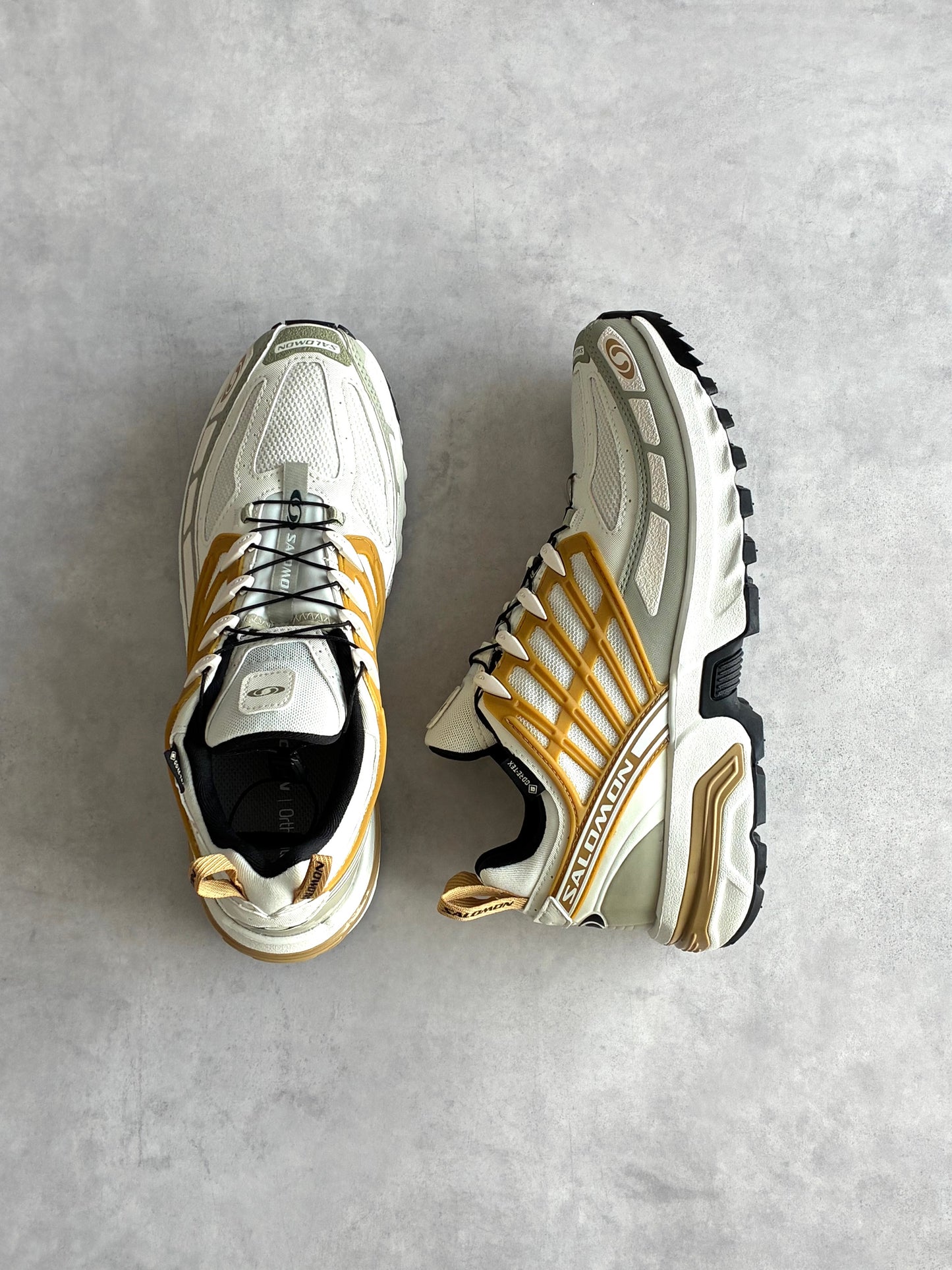 SALOMON / サロモン  ACS PRO GTX 【New Old Stock】