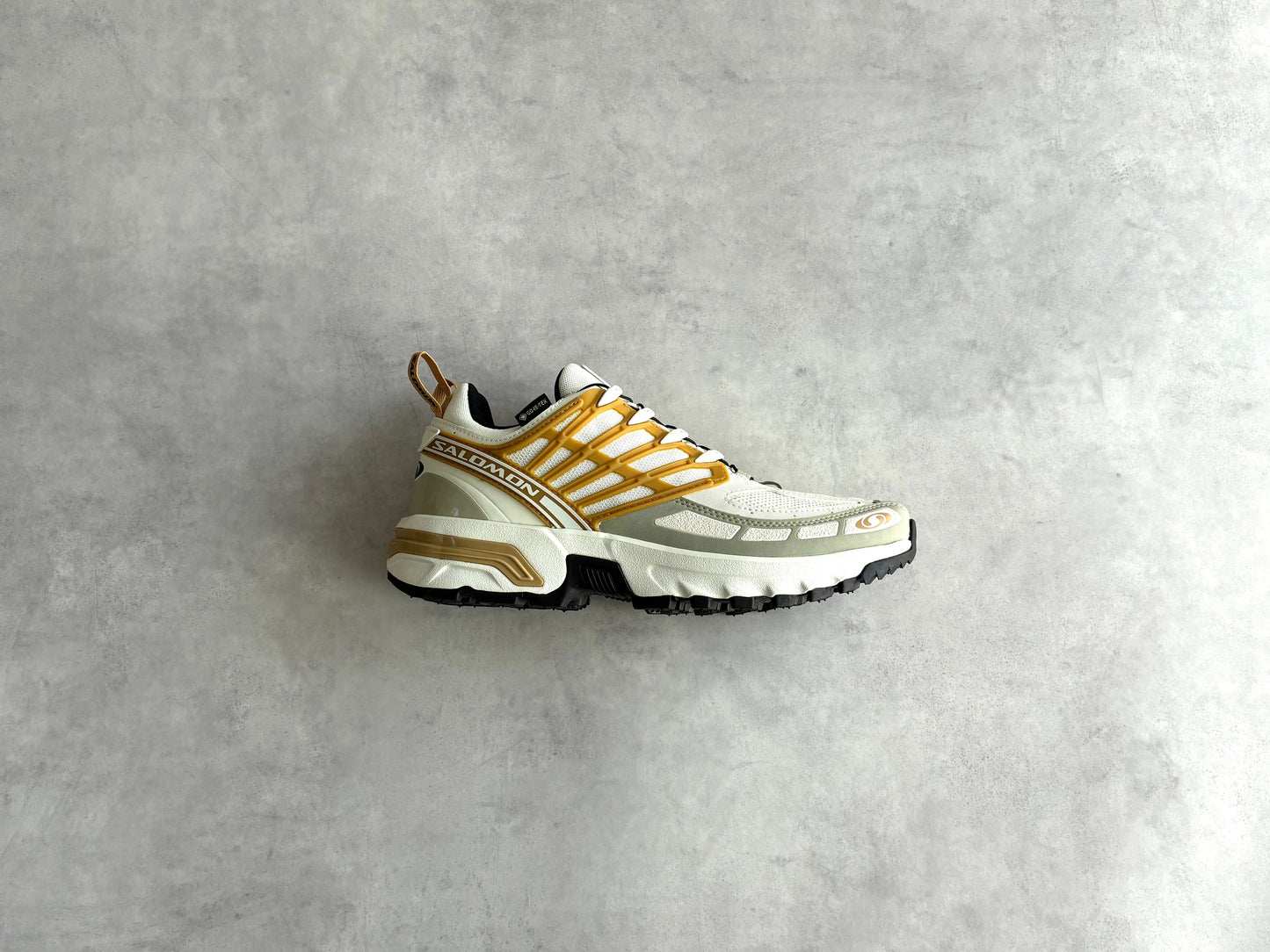SALOMON / サロモン  ACS PRO GTX 【New Old Stock】