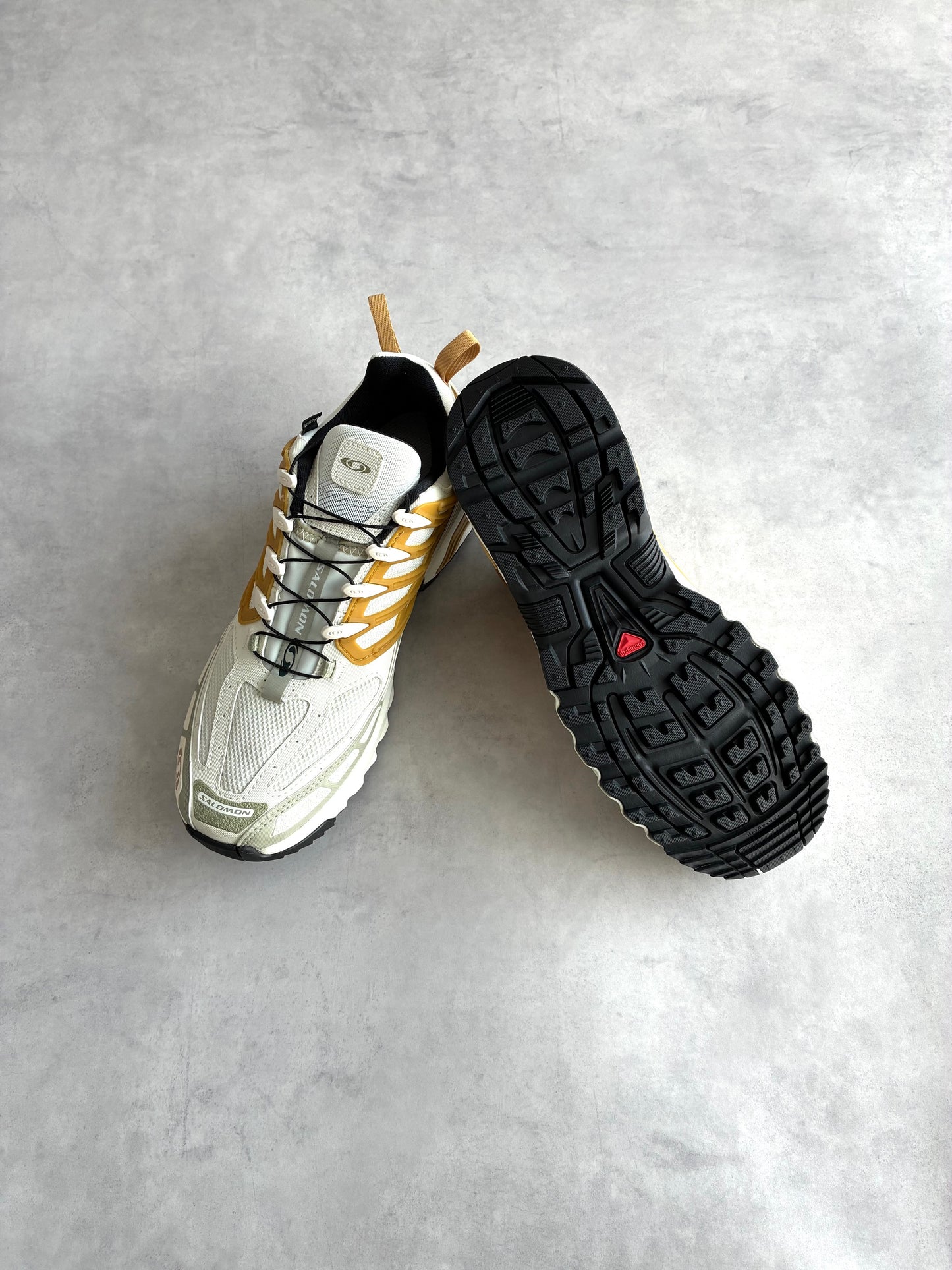SALOMON / サロモン  ACS PRO GTX 【New Old Stock】